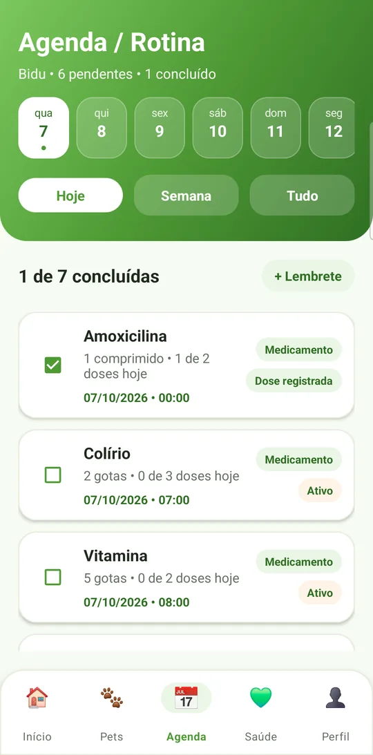 Tela Agenda e Rotina com os dias da semana e as tarefas do dia